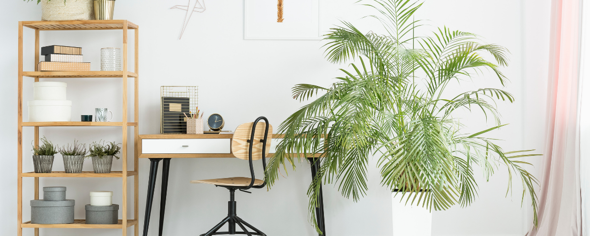 3 Questions to Ask About Your WFH Workspace